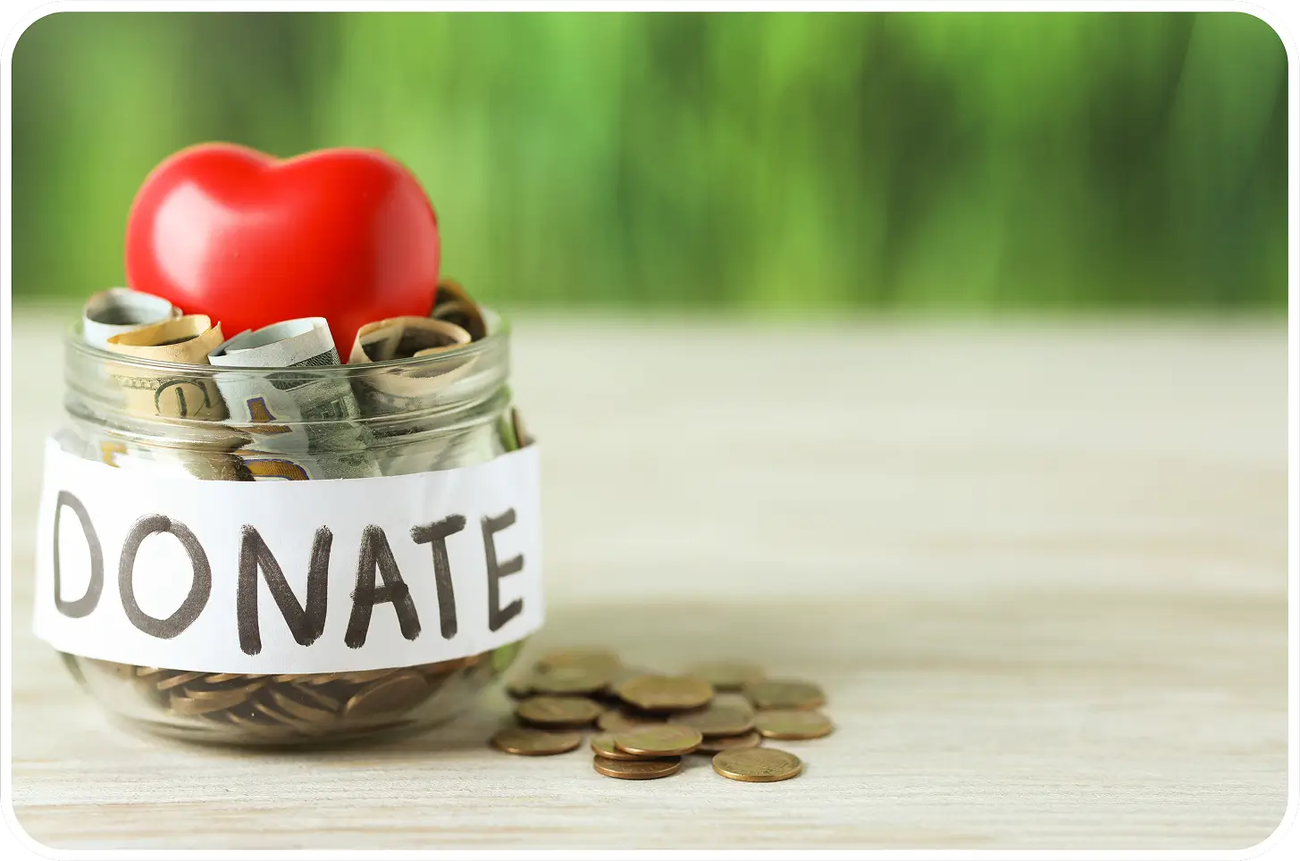 Donate Now